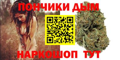 альфа пвп Заводоуковск