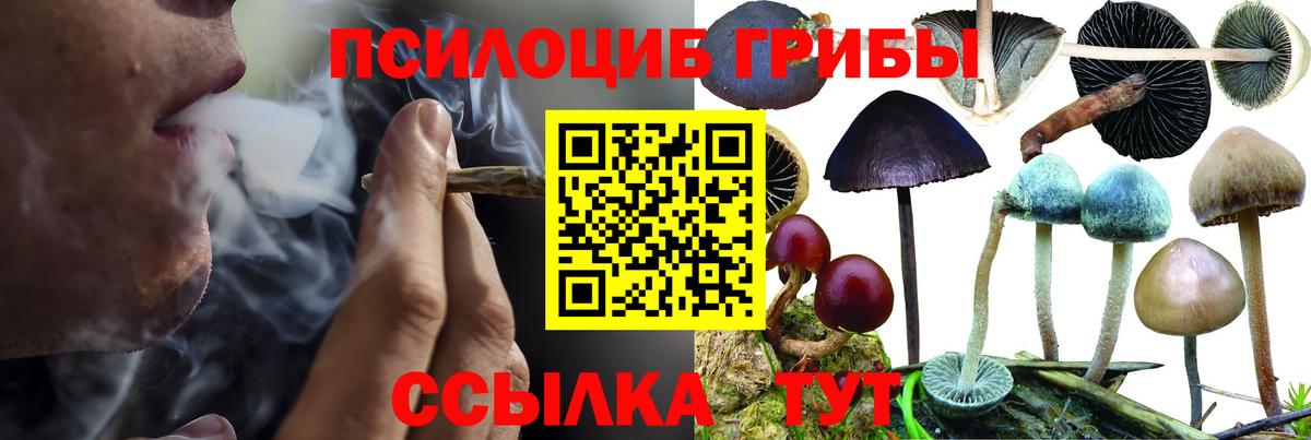 Псилоцибиновые грибы MAGIC MUSHROOMS  Вход с VPN  Михайловка 